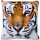 Kissenhülle Fotodruck 40x40 Tiger beige ohne Füllung