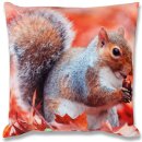 Kissenhülle Fotodruck 40x60cm und 40x40cm