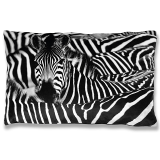 Kissenhülle Fotodruck Zebra 40x60cm mit Füllung