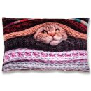 Kissenhülle Fotodruck Katze 40x60cm ohne Füllung