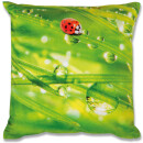 Kissenhülle Fotodruck Käfer 40x40cm mit Füllung