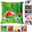 Kissenhülle Fotodruck Käfer 40x40cm mit Füllung