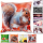 Kissenhülle Fotodruck Eichhörnchen 40x40cm mit Füllung