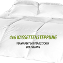 Kassettenbett - Daunen/Federdecke - 135x200cm inkl. Kissen