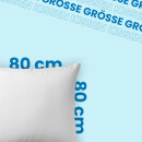 Bettdecke Federn/Daunen 135x200cm mit Federkissen 80x80cm