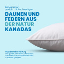 Bettdecke Federn/Daunen 135x200cm mit Federkissen 80x80cm