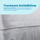 Bettdecke Federn/Daunen 135x200cm mit Federkissen 80x80cm