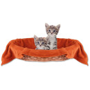 Tierdecke Katzendecke Mikrofaser ca. 80x120cm terracotta - rostbraun