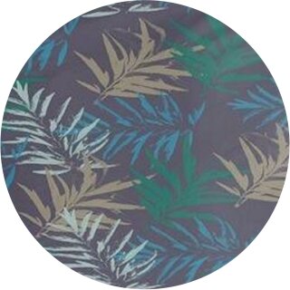 Mysterious Jungle