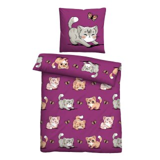 Katze