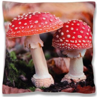 Pilze