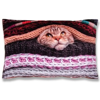 Katze 40x60cm