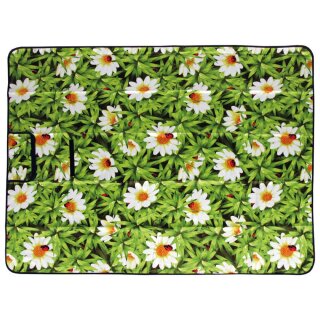 Daisy