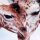 Giraffen 40x60cm