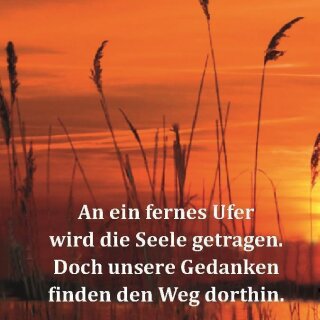 Ufer