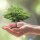 Baum