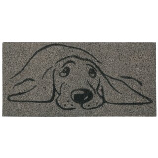 Hund
